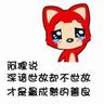 宠物知识图文制作